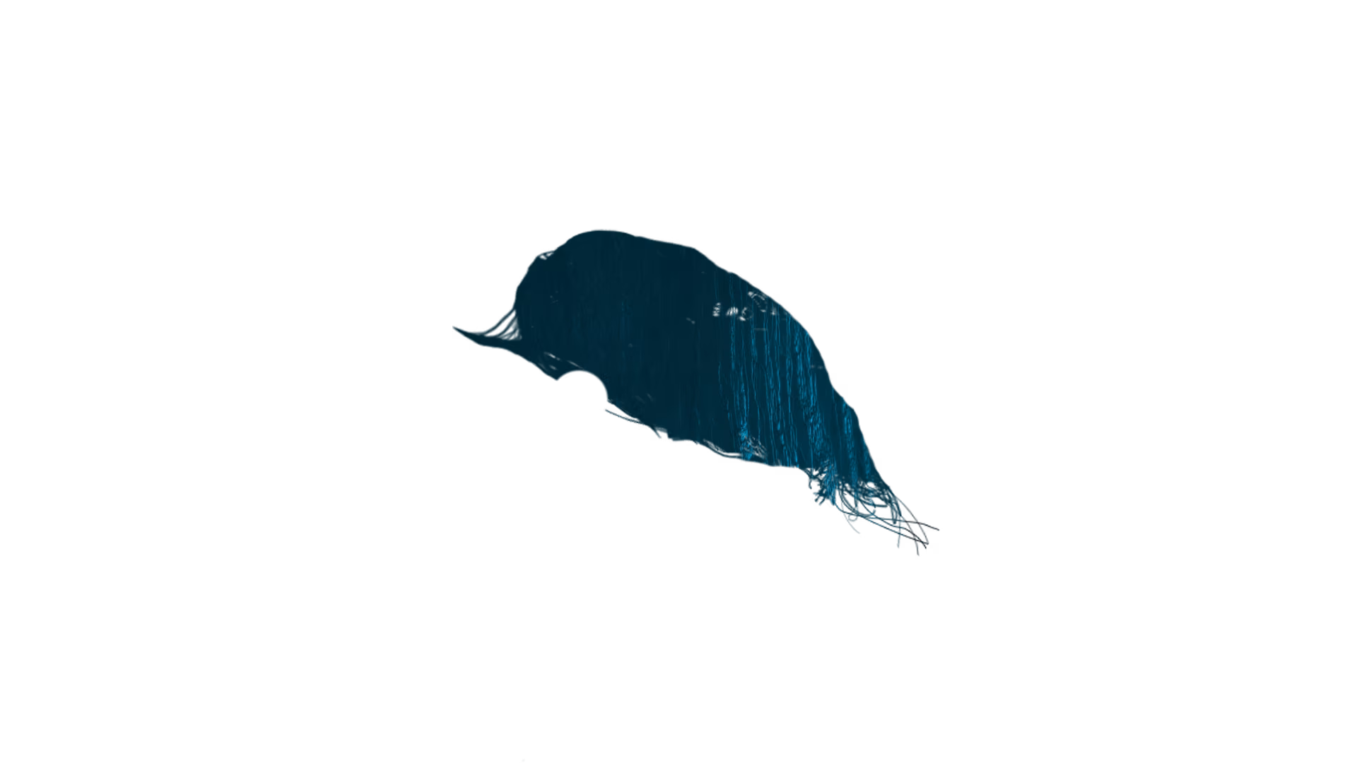 Drawing of a dark blue bird to illustrate the Times album